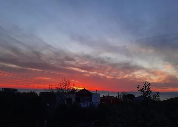 Daire Chrissi Princess *